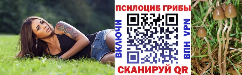 Купить где  Собинка  Псилоцибиновые грибы ЛСД 